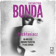 Pochłaniacz