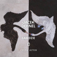 Łabędzie