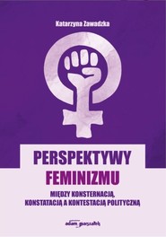 Perspektywy feminizmu. Między konsternacją...
