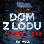 Dom z lodu