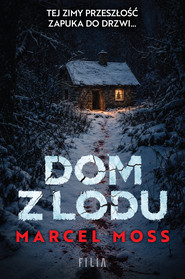 Dom z lodu