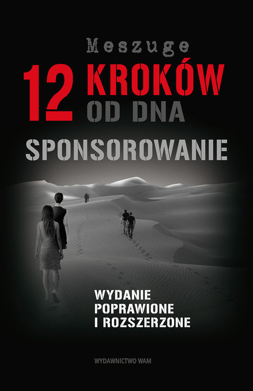 okładka 12 kroków od dna. Sponsorowanie książka | Meszuge