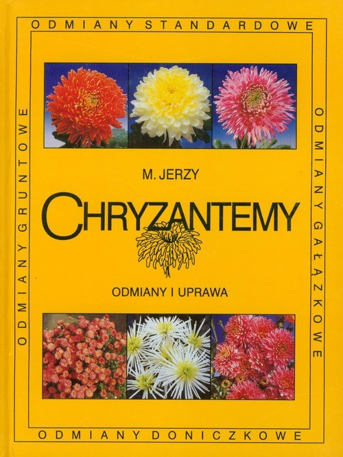 okładka Chryzantemy Odmiany i uprawa książka | Jerzy Marek