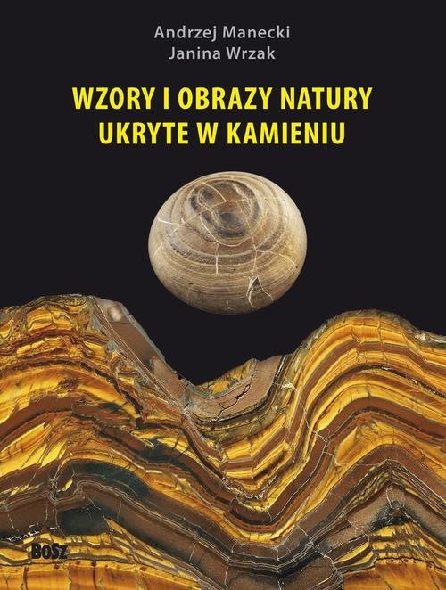 okładka Wzory i obrazy natury ukryte w kamieniu książka | Andrzej Manecki, Janina Wrzak