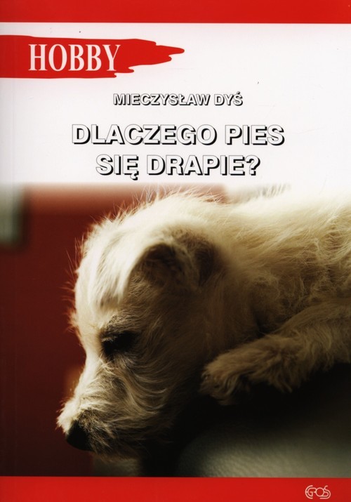okładka Dlaczego pies się drapie? książka | Dyś Mieczysław