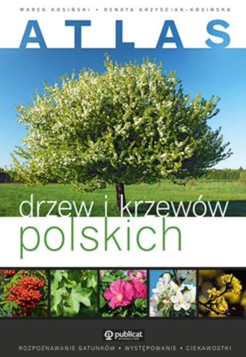 okładka Atlas drzew i krzewów polskich książka | Marek Kosiński, Renata Krzyściak-Kosińska