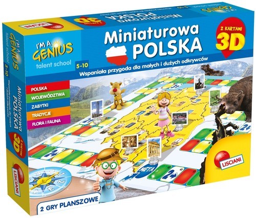 okładka Miniaturowa Polska z kartami 3D książka