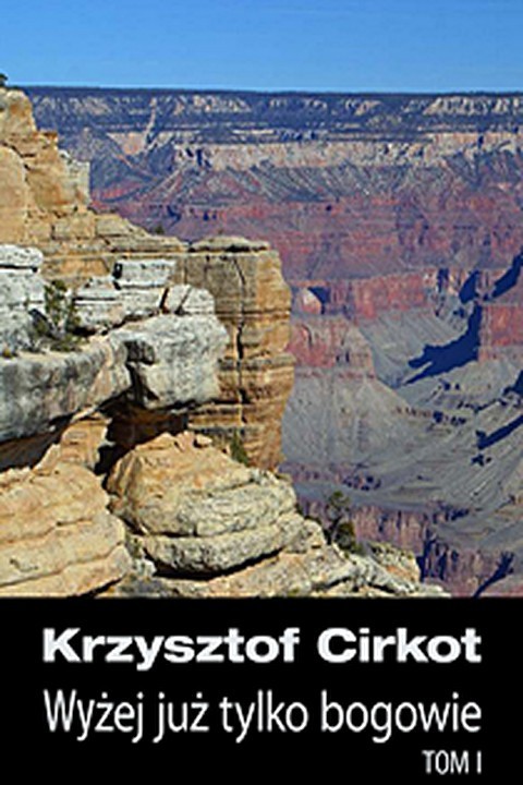 okładka Wyżej już tylko bogowie ebook | epub, mobi | Krzysztof Cirkot
