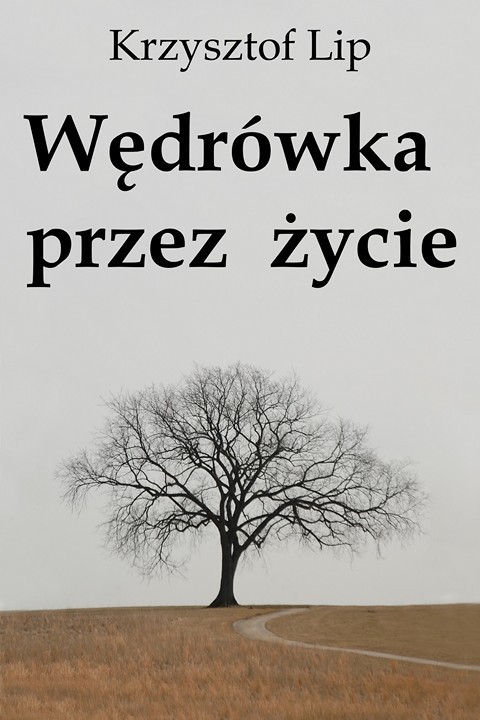 okładka Wędrówka przez życie ebook | pdf | Krzysztof Lip