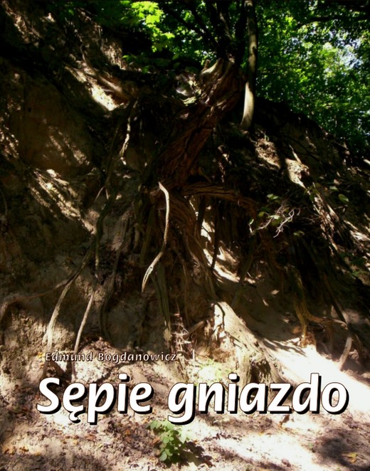 okładka Sępie gniazdo ebook | epub, mobi | Edmund Bogdanowicz