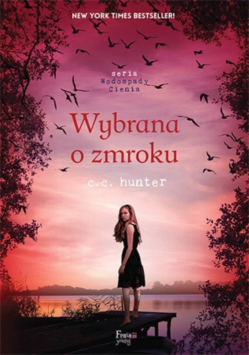 okładka Wybrana o zmroku. Tom 5 książka | C.C. Hunter