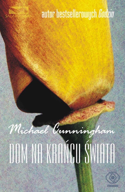 okładka Dom na krańcu świata książka | Michael Cunningham