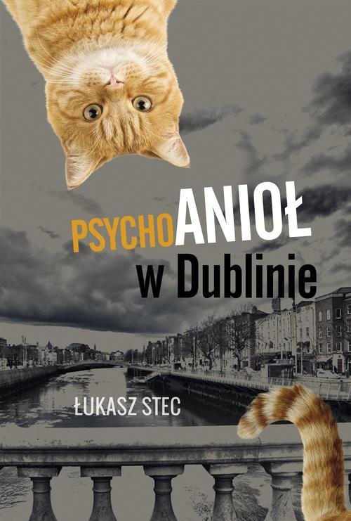 okładka Psychoanioł w Dublinie książka | Łukasz Stec