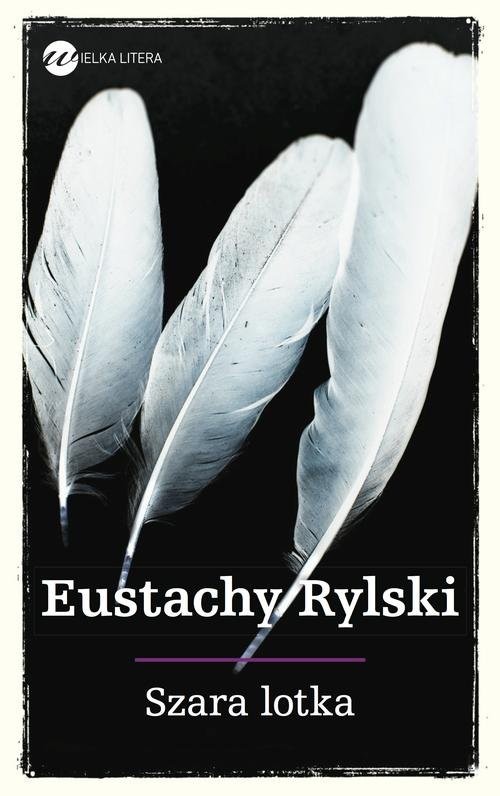 okładka Szara lotka książka | Eustachy Rylski