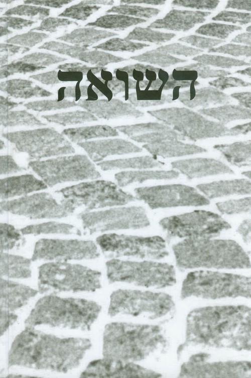 okładka Pamięć Shoah Kulturowe reprezentacje i praktyki upamiętnienia książka