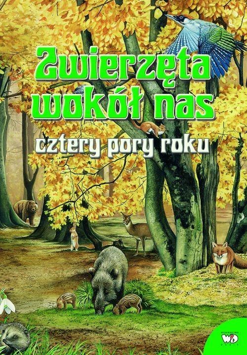 okładka Zwierzęta wokół nas Cztery pory roku książka | Renzo Barsotti