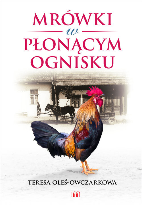 okładka Mrówki w płonącym ognisku książka | Oleś-Owczarkowa Teresa