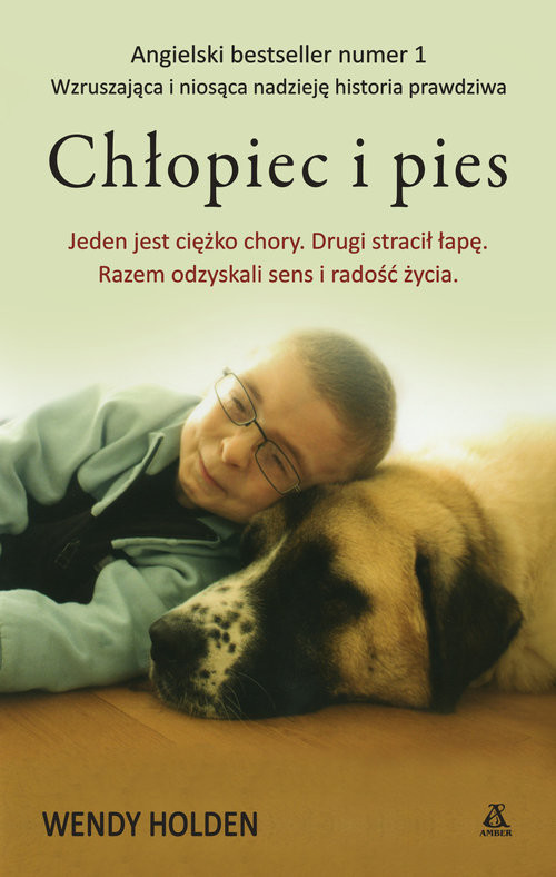 okładka Chłopiec i pies książka | Wendy Holden