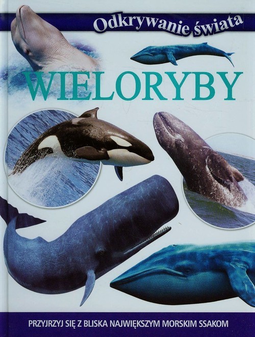 okładka Odkrywanie świata Wieloryby Przyjrzyj się z bliska największym morskim ssakom książka