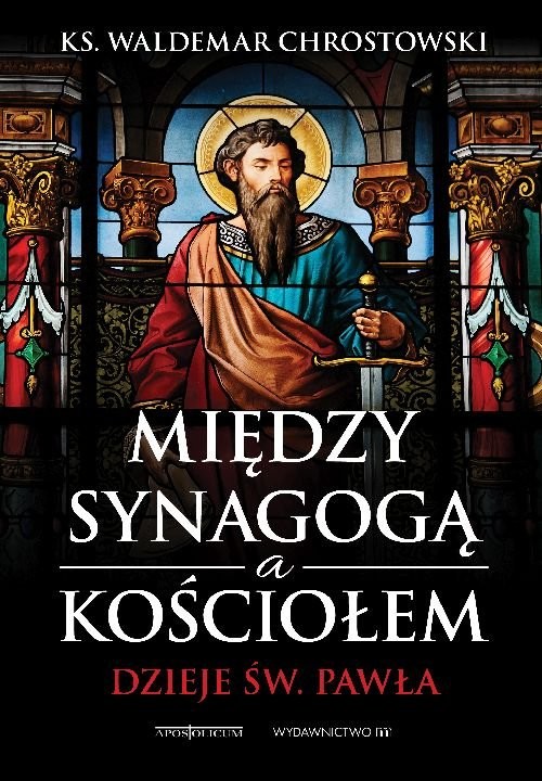 okładka Między Synagogą a Kościołem Dzieje św. Pawła książka | ks. prof. Waldemar Chrostowski