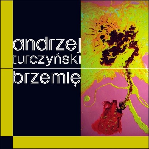 okładka Brzemię książka | Andrzej Turczyński