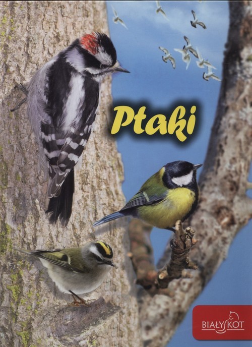 okładka Ptaki książka | Popielarska-Konieczna Marzena