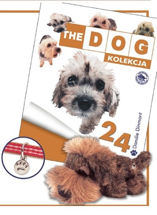 okładka Terier Dandie Dinmont książka