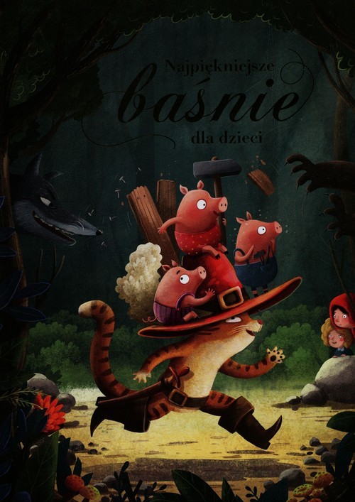 okładka Najpiękniejsze baśnie dla dzieci książka | Parachini-Deny Juliette