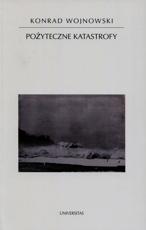 okładka Pożyteczne katastrofy książka | Wojnowski Konrad