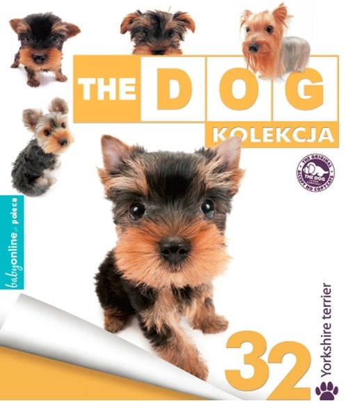 okładka Yorkshire Terier książka