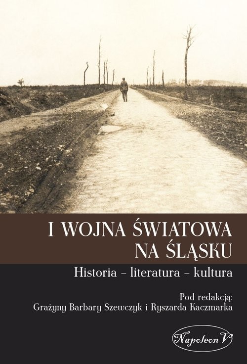 okładka I wojna światowa na Śląsku Historia literatura kultura książka
