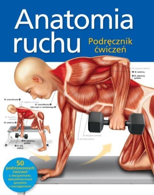 okładka Anatomia ruchu Podręcznik ćwiczeń książka | Ashwell Ken