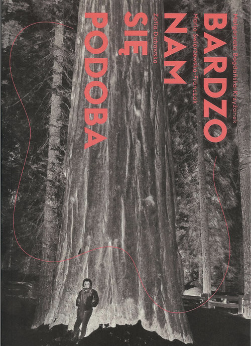 okładka Bardzo nam się podoba książka