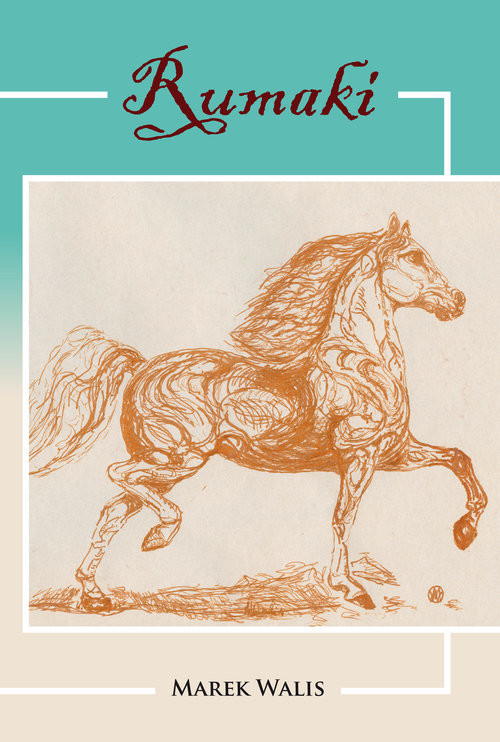 okładka Rumaki książka | Walis Marek