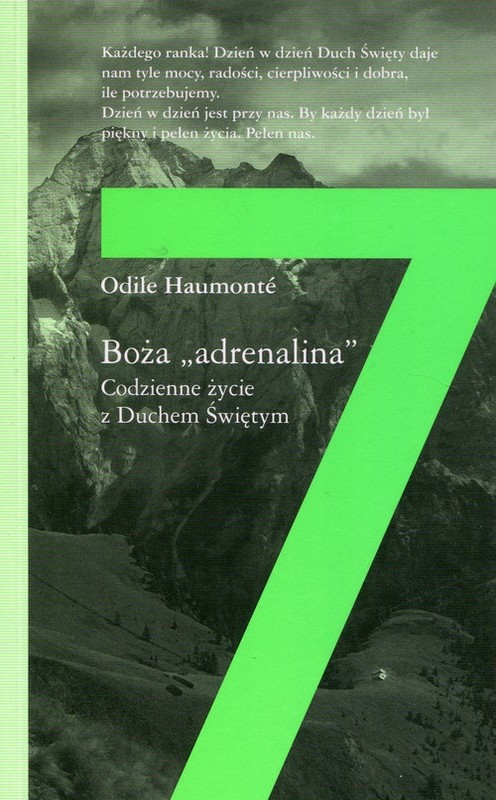 okładka Boża adrenalina Codzienne życie z Duchem Świętym książka | Haumonte Odile