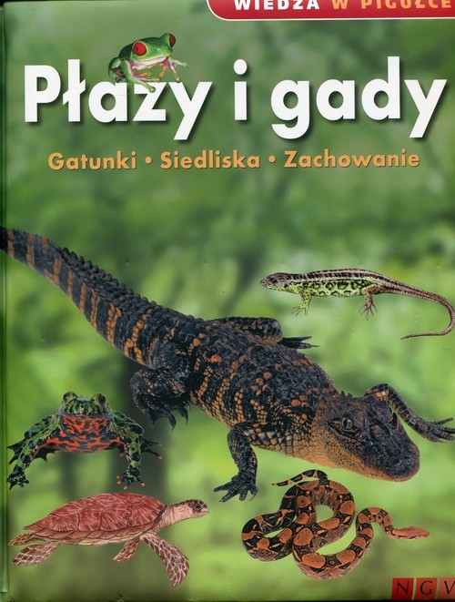 okładka Wiedza w pigułce Płazy i gady książka