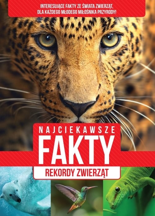 okładka Najciekawsze fakty Rekordy zwierząt książka
