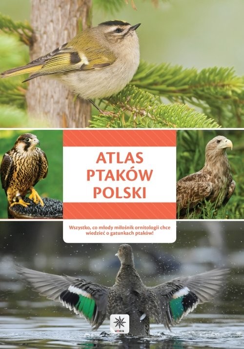 okładka Atlas ptaków Polski książka