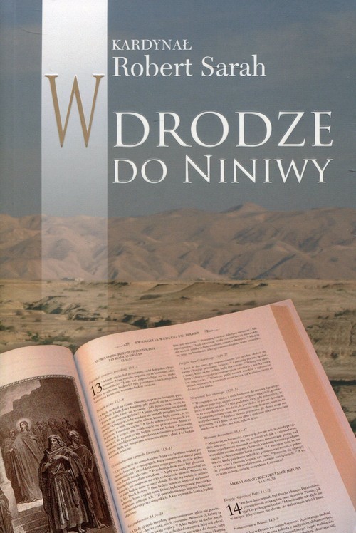 okładka W drodze do Niniwy książka | Sarah Robert