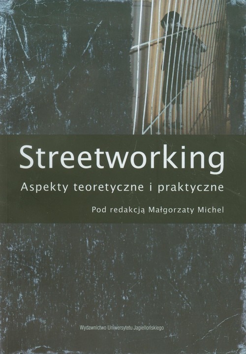 okładka Streetworking Aspekty teoretyczne i praktyczne książka