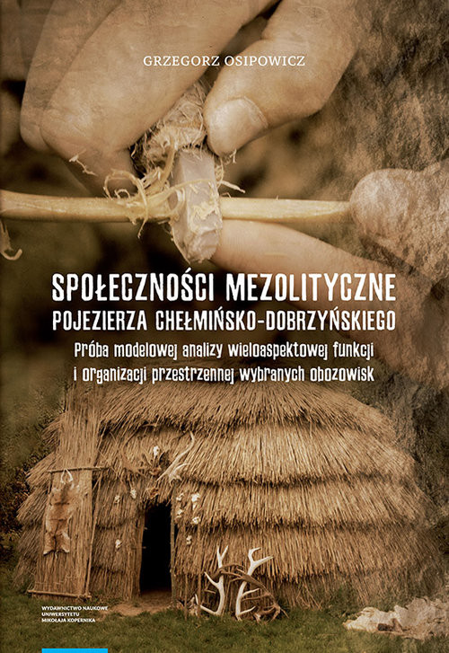 okładka Społeczności mezolityczne Pojezierza Chełmińsko-Dobrzyńskiego książka | Osipowicz Grzegorz