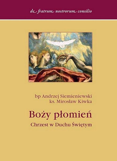 okładka Boży płomień Chrzest w Duchu Świętym książka | Andrzej Siemieniewski, Mirosław Kiwka