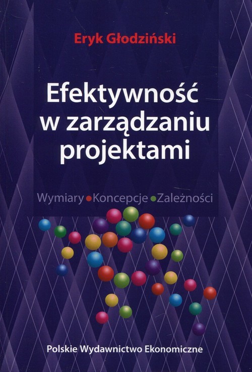 okładka Efektywność w zarządzaniu projektami Wymiary Koncepcje Zależności książka