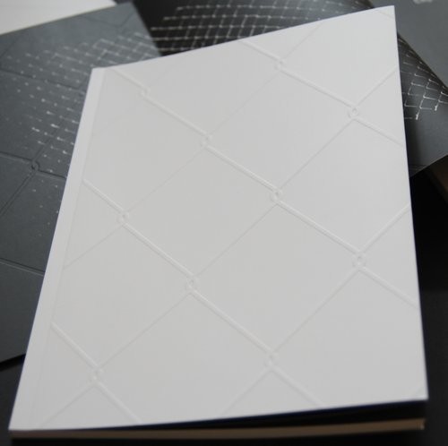 okładka Dominik Lejman Płot - katalog do wystawy książka