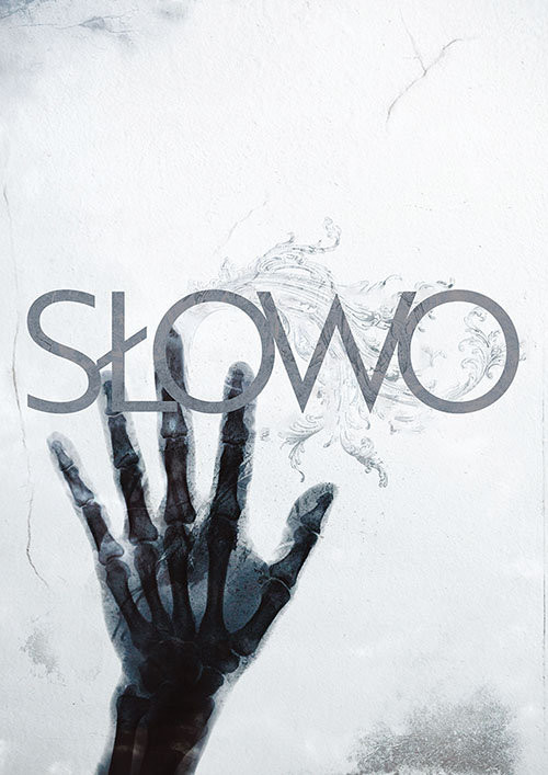 okładka Słowo. Ilustrowane wydanie Nowego Testamentu książka