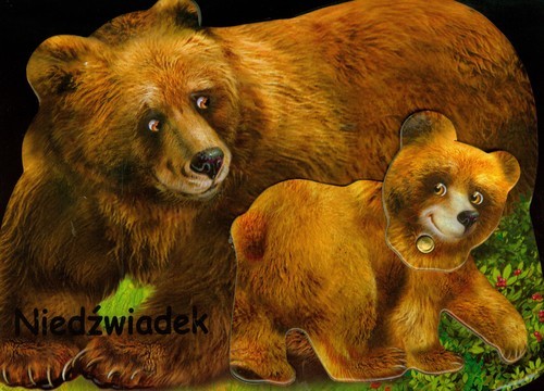 okładka Niedźwiadek książka