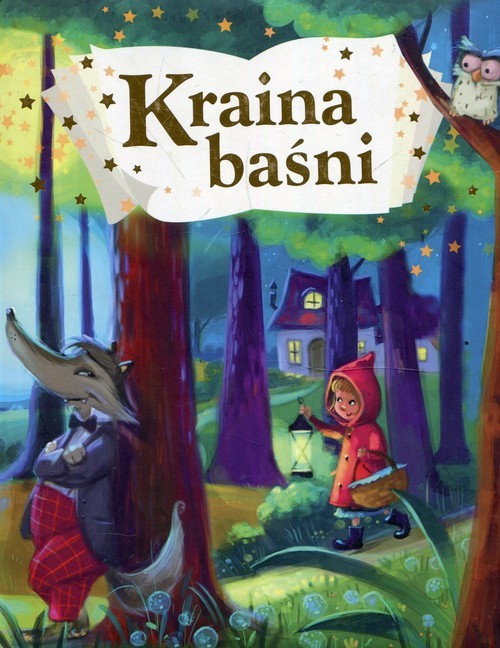 okładka Kraina baśni książka
