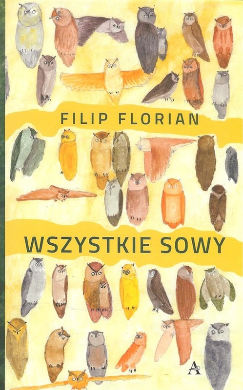 okładka Wszystkie sowy książka | Florian Filip