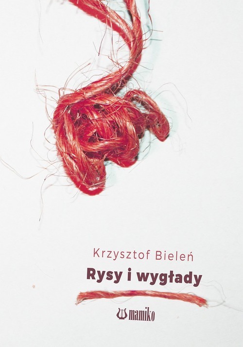 okładka Rysy i wygłady książka | Bieleń Krzysztof