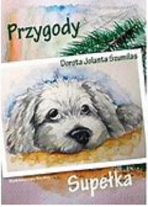okładka Przygody Supełka książka | Dorota Jolanta Szumilas